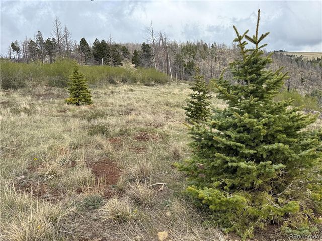 406-449 Schierl Road, Fort Garland, CO 81133