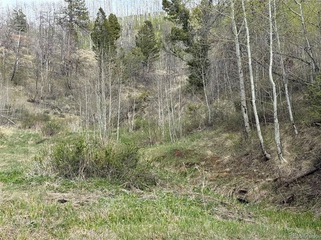 406-449 Schierl Road, Fort Garland, CO 81133