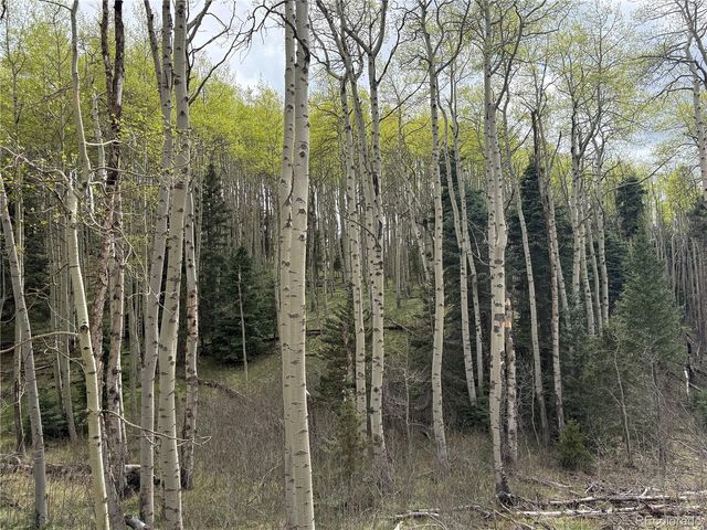406-449 Schierl Road, Fort Garland, CO 81133