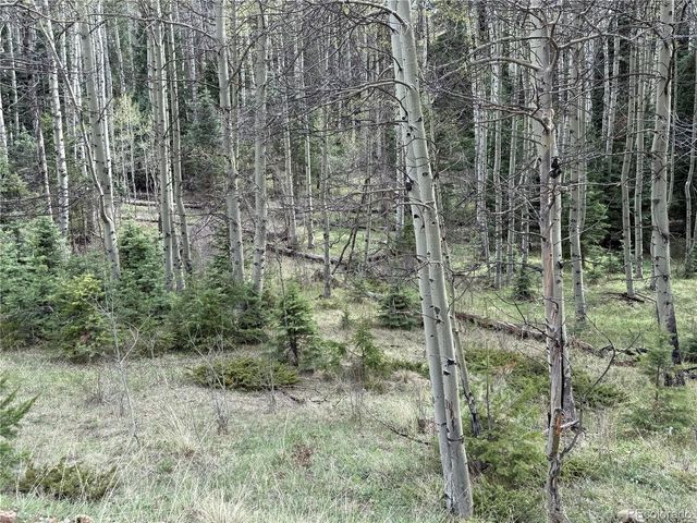 406-449 Schierl Road, Fort Garland, CO 81133