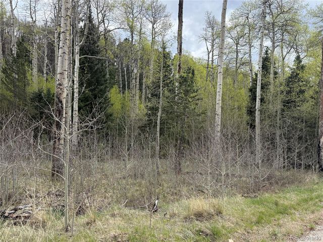 406-449 Schierl Road, Fort Garland, CO 81133