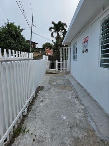 LOT 3 SECTOR EL JURUTUNGO BO. GUARAGAO, Bayamon, PR 00957