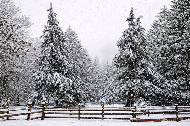 15116 346TH Avenue NE, Duvall, WA 98019