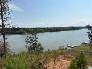 LAKE POINTE DRIVE, Lincoln, AL 35096