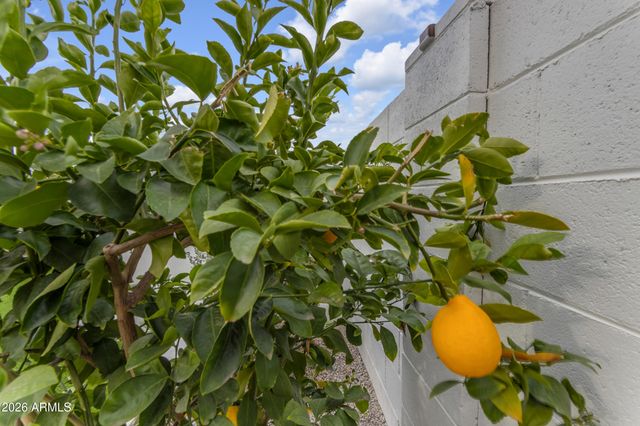 10020 E TALON Avenue, Mesa, AZ 85212