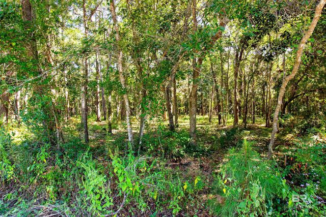 0 Beach Road, Foley, AL 36535