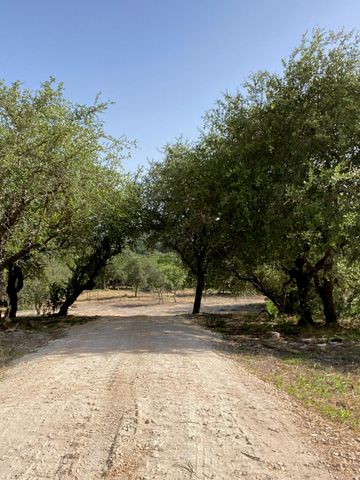 6709 Singleton Bend RD, Marble Falls, TX 78654