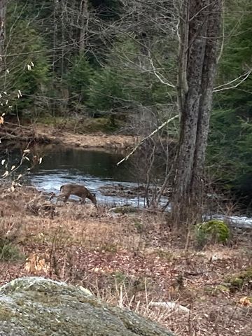 601 Lempster Street, Lempster, NH 03605