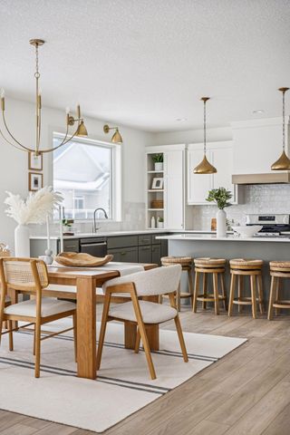 13381 Cadogan Way, Rosemount, MN 55068