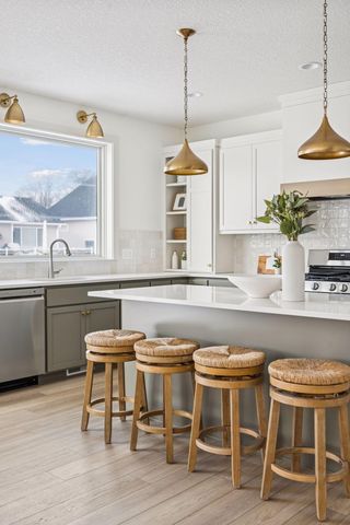 13381 Cadogan Way, Rosemount, MN 55068