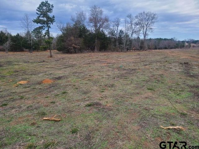 TBD Ridgeline Loop, Winona, TX 75792