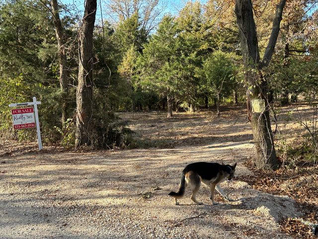 TRACT 7 AUDRAIN RD 935, Mexico, MO 65265