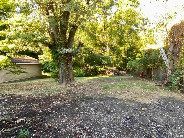 523 S ANNA Avenue, Bellevue, IL 61604