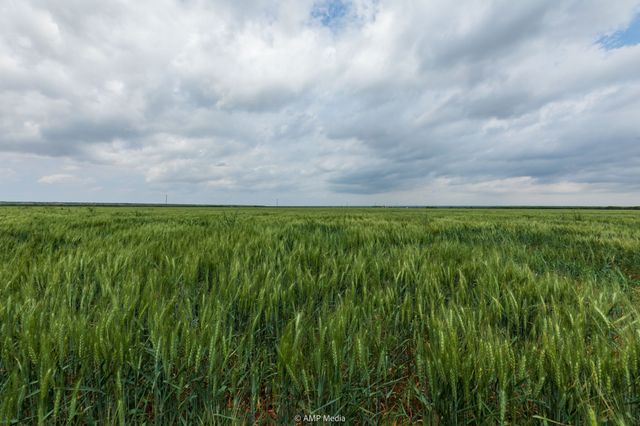 TBD CR 417, Merkel, TX 79536