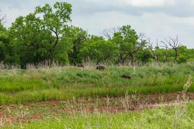 TBD CR 417, Merkel, TX 79536