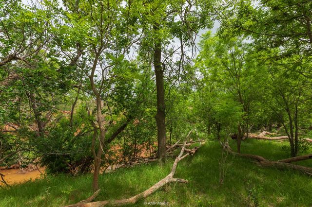 TBD CR 417, Merkel, TX 79536