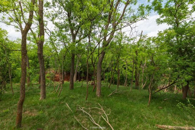 TBD CR 417, Merkel, TX 79536