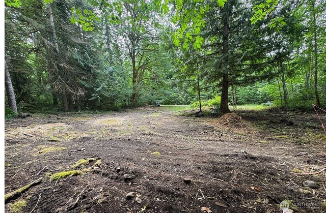 16017 Glacier Rim Drive, Glacier, WA 98244