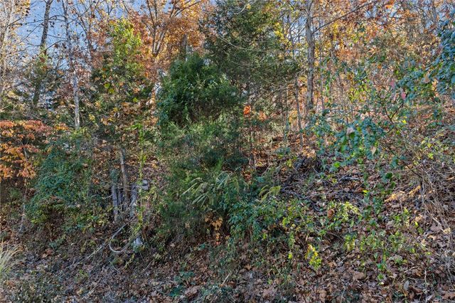 Lot 90 Mountain Lake, Rogers, AR 72756