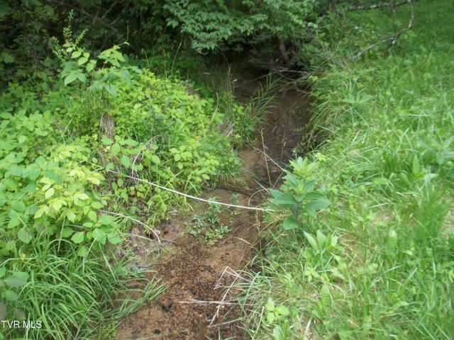 1284 Powder Branch Road, Johnson City, TN 37601