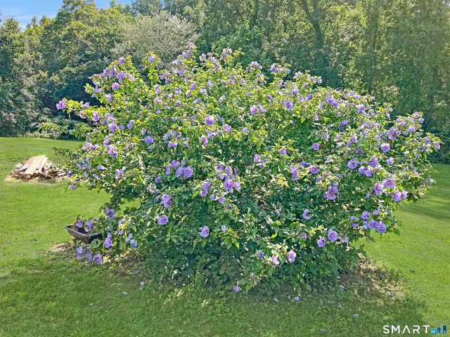 137 Ference Road, Ashford, CT 06278