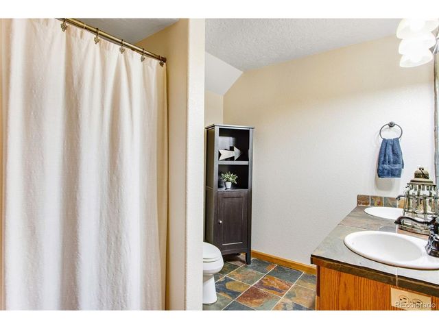 335 N Shore Cir, Windsor, CO 80550