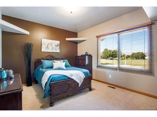 335 N Shore Cir, Windsor, CO 80550