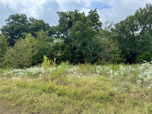 TBD LOT 21 CR 3356, Anna, TX 75409