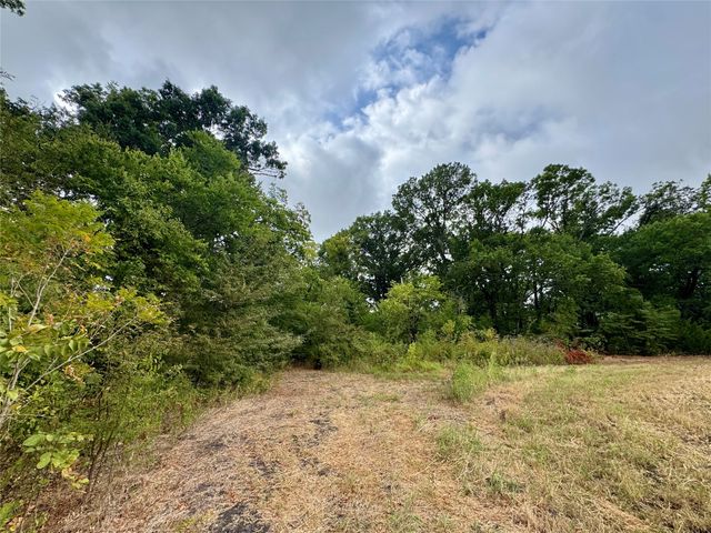 TBD LOT 21 CR 3356, Anna, TX 75409