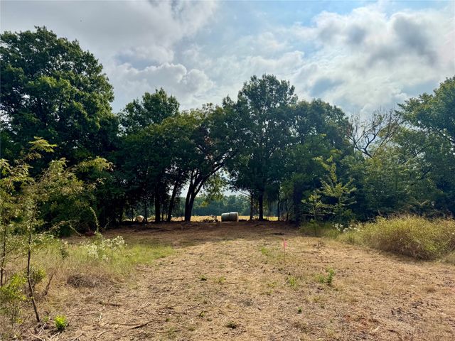 TBD LOT 21 CR 3356, Anna, TX 75409