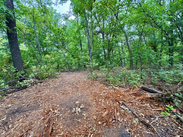 TBD LOT 21 CR 3356, Anna, TX 75409