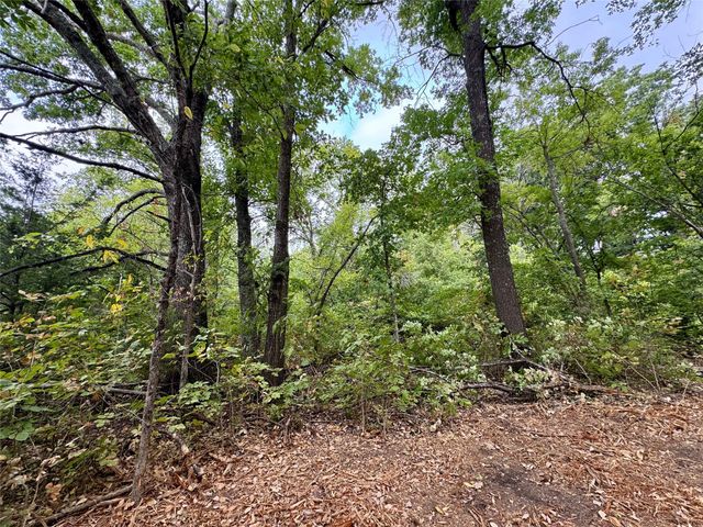 TBD LOT 21 CR 3356, Anna, TX 75409