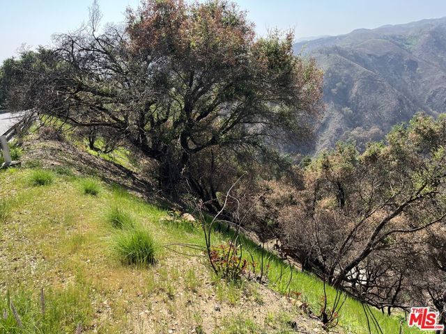 1785 Alta Mura Rd Road, Pacific Palisades (los Angeles), CA 90272