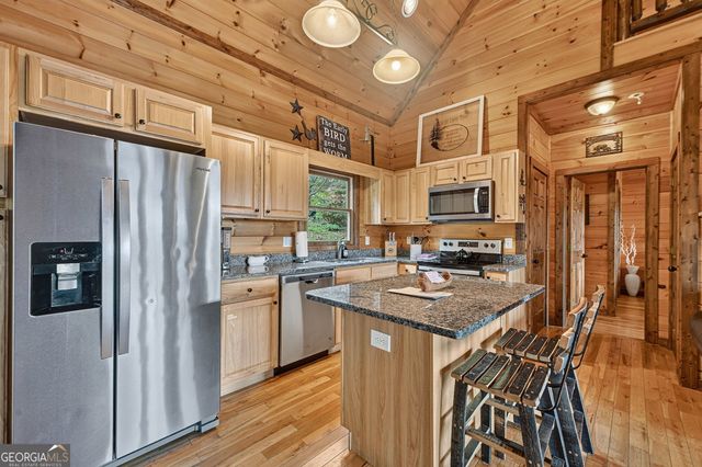 96 Hidden Lake Lane, Cherry Log, GA 30522