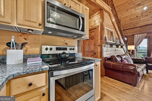 96 Hidden Lake Lane, Cherry Log, GA 30522