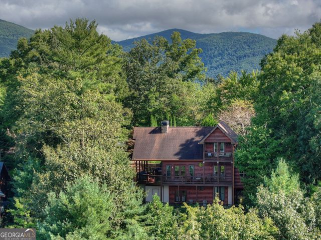 96 Hidden Lake Lane, Cherry Log, GA 30522