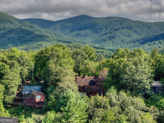 96 Hidden Lake Lane, Cherry Log, GA 30522