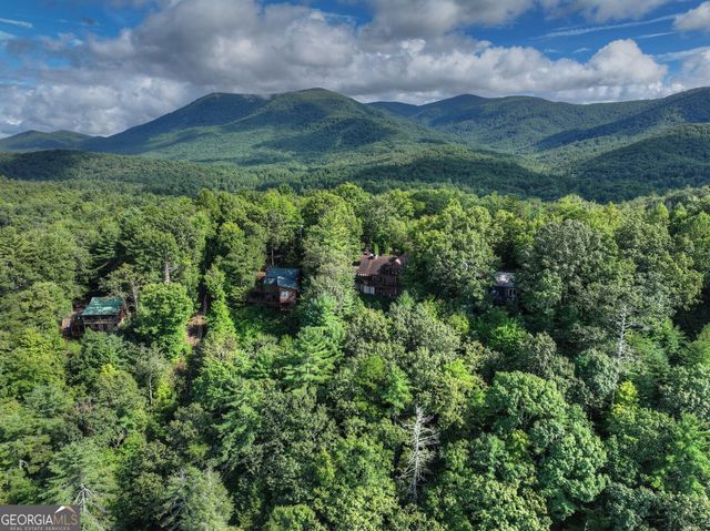 96 Hidden Lake Lane, Cherry Log, GA 30522