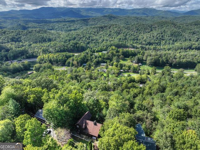 96 Hidden Lake Lane, Cherry Log, GA 30522