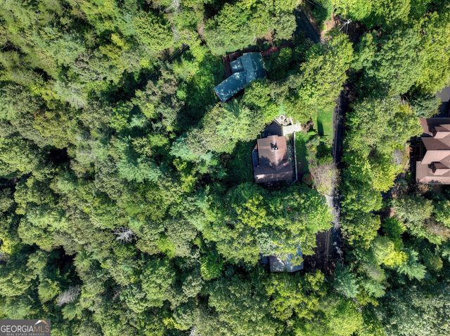 96 Hidden Lake Lane, Cherry Log, GA 30522