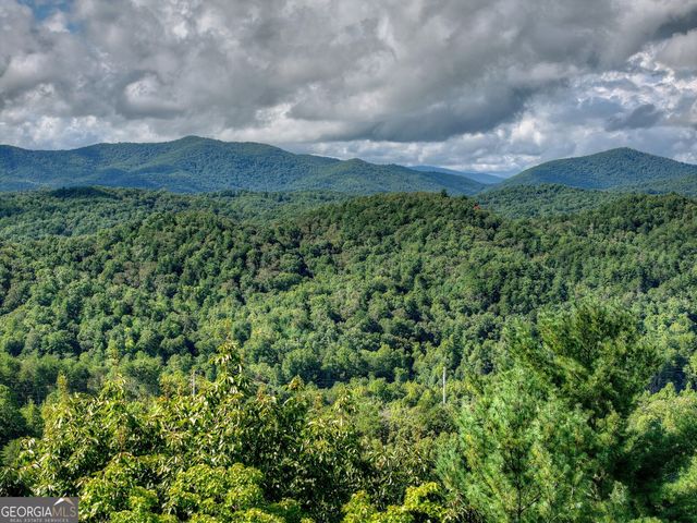 96 Hidden Lake Lane, Cherry Log, GA 30522