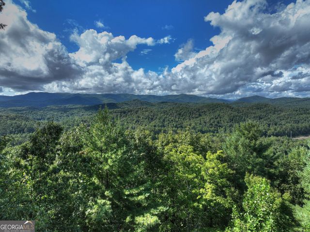 96 Hidden Lake Lane, Cherry Log, GA 30522