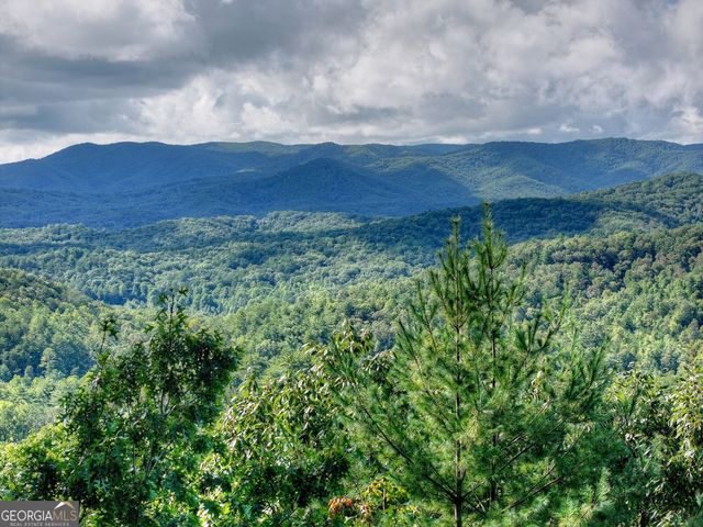 96 Hidden Lake Lane, Cherry Log, GA 30522