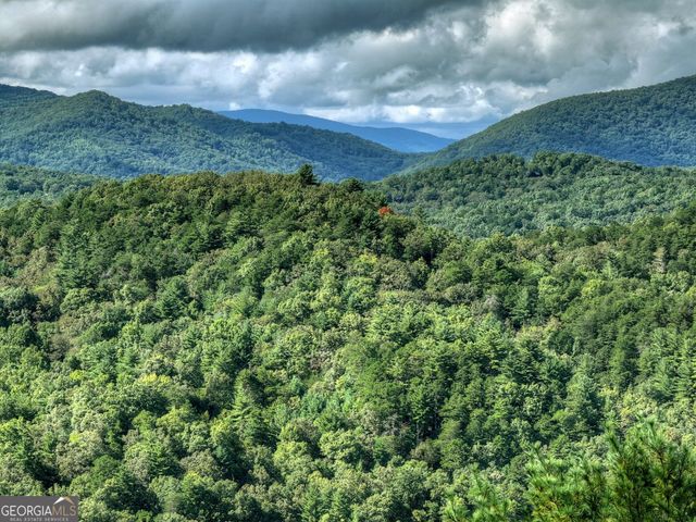 96 Hidden Lake Lane, Cherry Log, GA 30522
