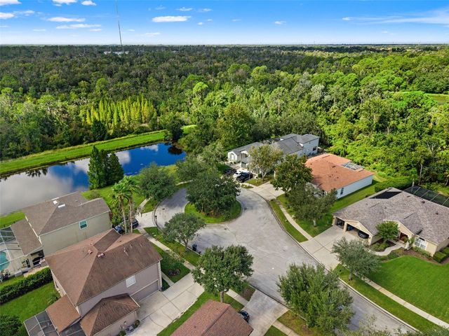 6111 HERONCREST COURT, Lithia, FL 33547