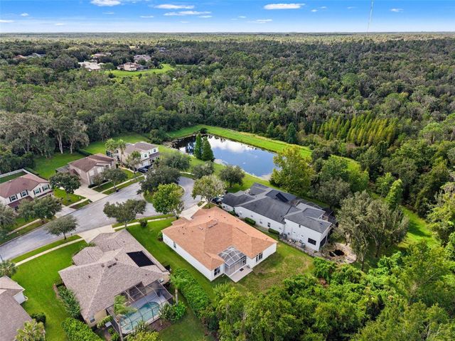 6111 HERONCREST COURT, Lithia, FL 33547