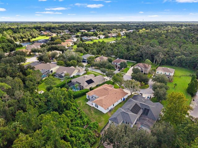 6111 HERONCREST COURT, Lithia, FL 33547