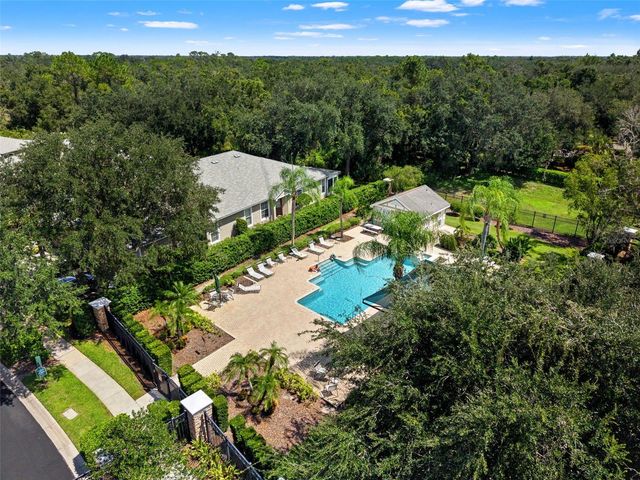 6111 HERONCREST COURT, Lithia, FL 33547