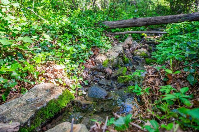 4205 Tremont, Lynchburg, VA 24502