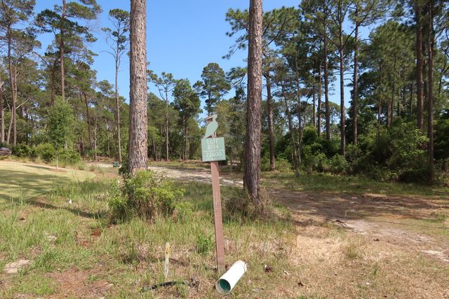 22600 Turtleback Lane, Panama City Beach, FL 32413